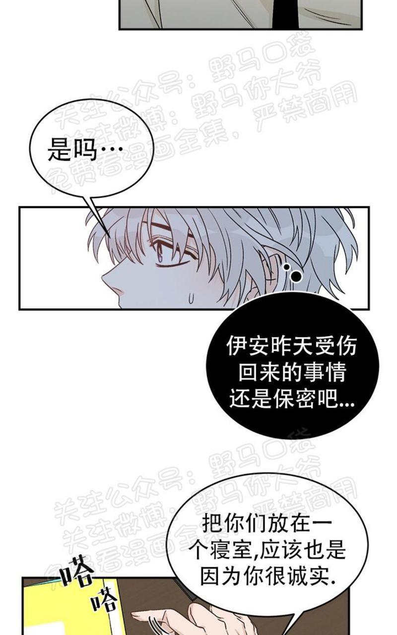 逐龙/追龙[耽美]韩漫全集-第16话无删减无遮挡章节图片 
