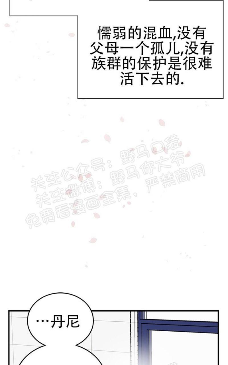 逐龙/追龙[耽美]韩漫全集-第16话无删减无遮挡章节图片 