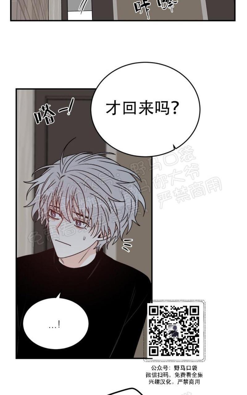 逐龙/追龙[耽美]韩漫全集-第17话无删减无遮挡章节图片 