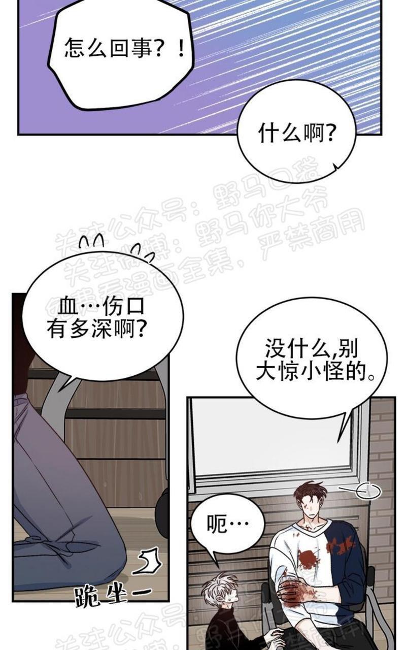 逐龙/追龙[耽美]韩漫全集-第17话无删减无遮挡章节图片 