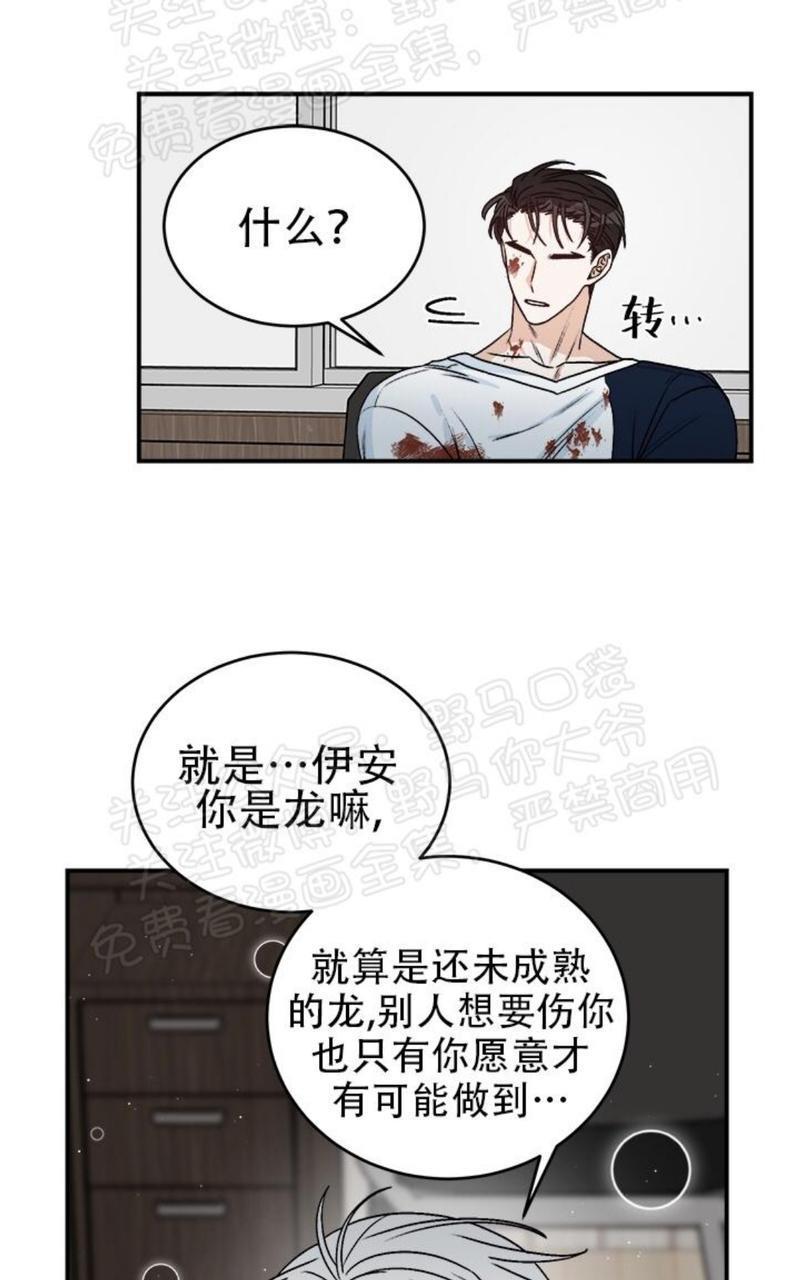 逐龙/追龙[耽美]韩漫全集-第17话无删减无遮挡章节图片 