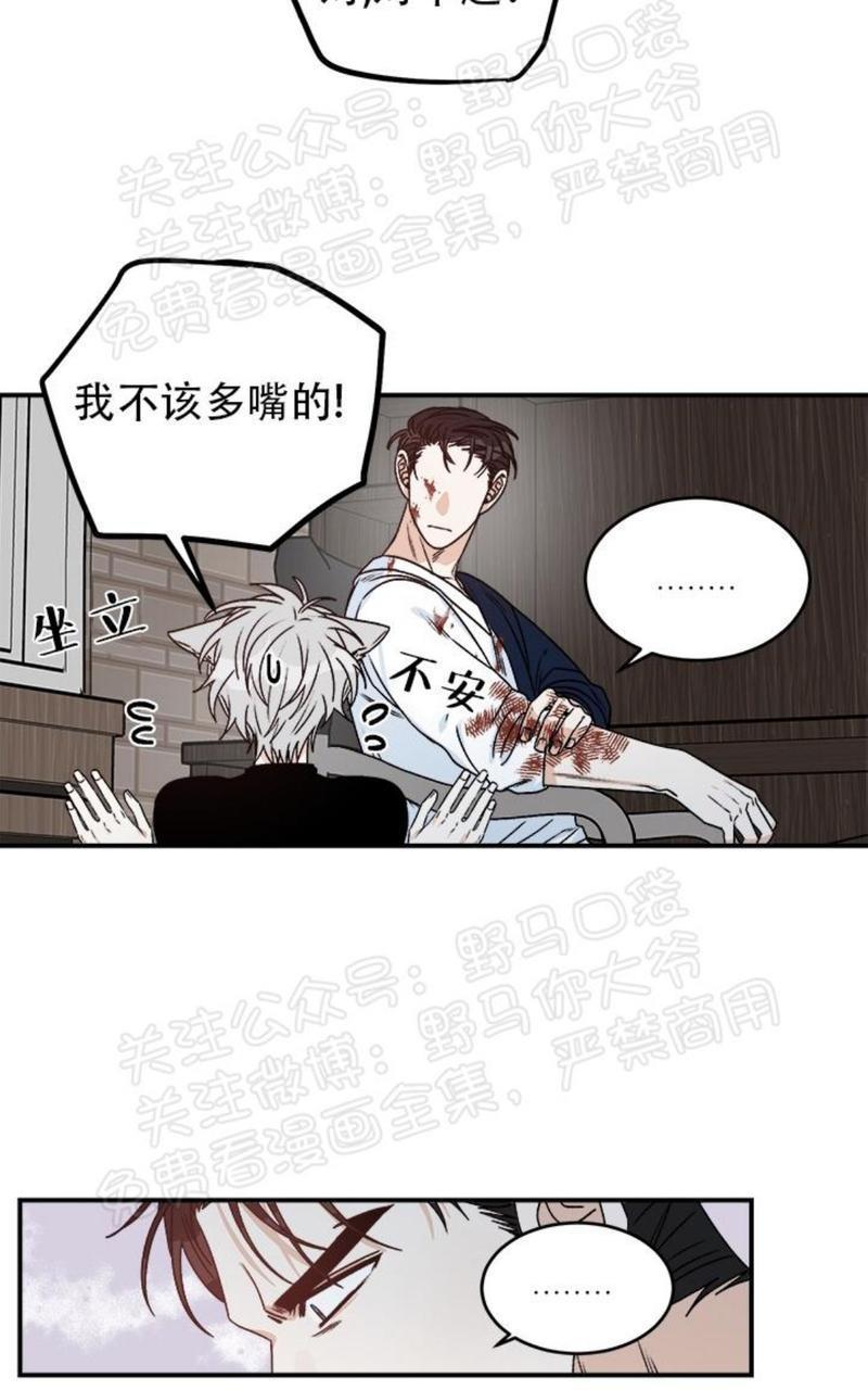 逐龙/追龙[耽美]韩漫全集-第17话无删减无遮挡章节图片 