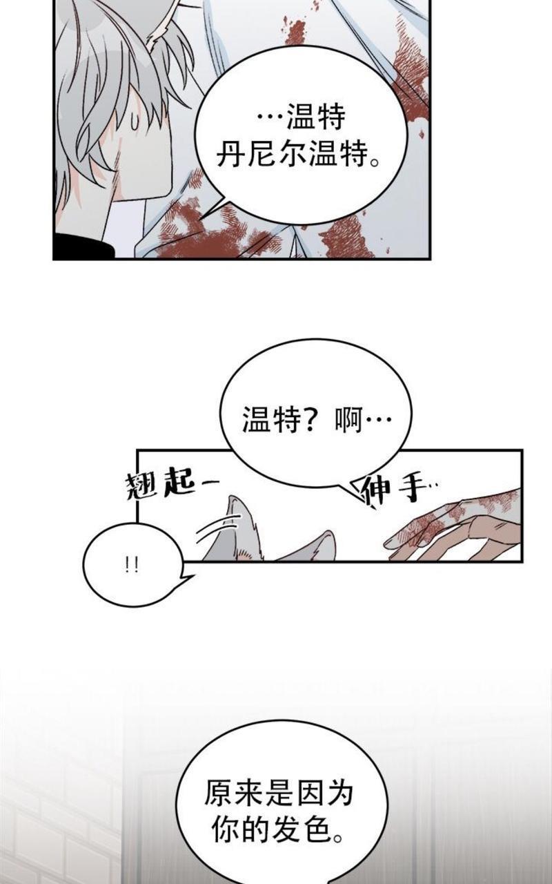 逐龙/追龙[耽美]韩漫全集-第17话无删减无遮挡章节图片 