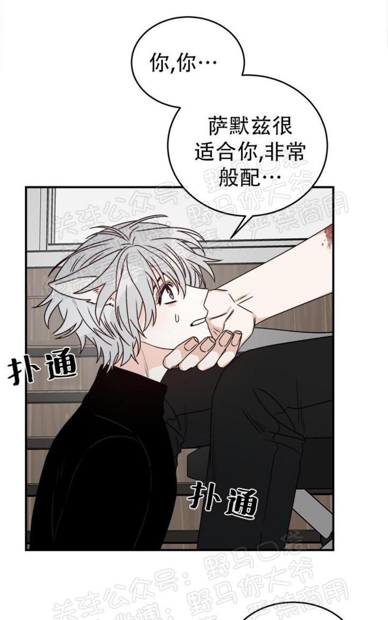 逐龙/追龙[耽美]韩漫全集-第17话无删减无遮挡章节图片 