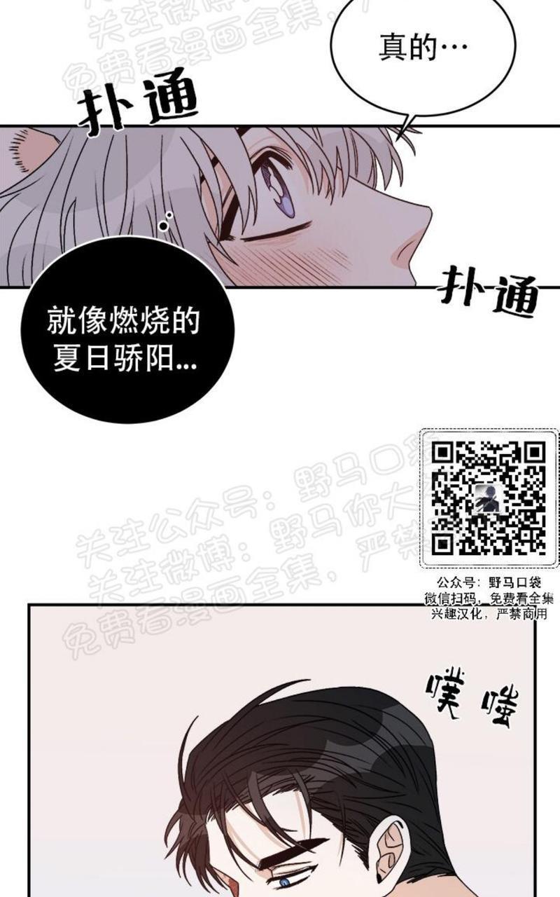 逐龙/追龙[耽美]韩漫全集-第17话无删减无遮挡章节图片 