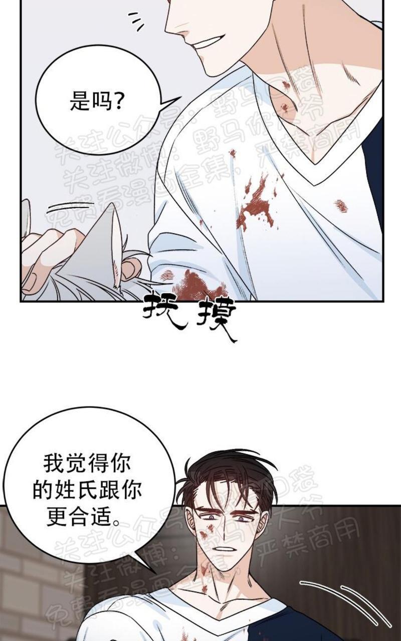 逐龙/追龙[耽美]韩漫全集-第17话无删减无遮挡章节图片 