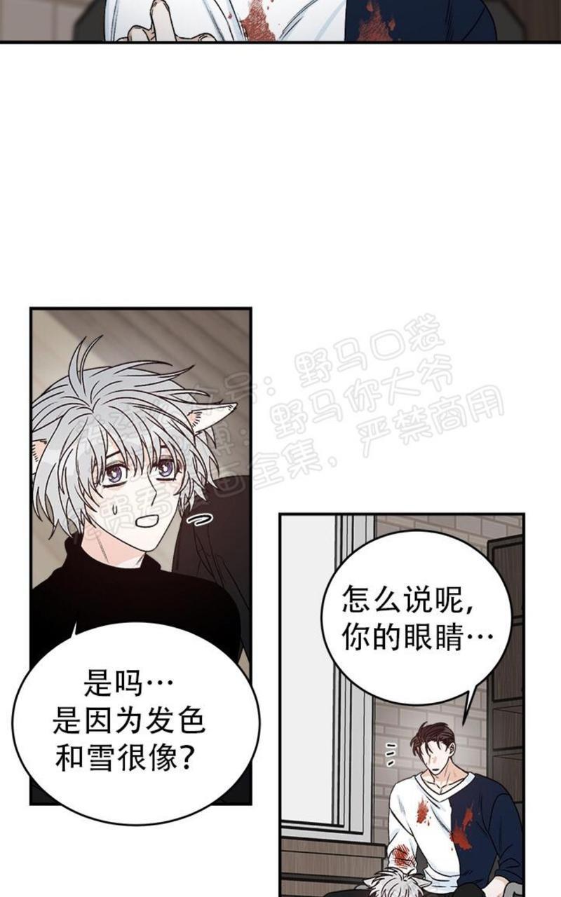 逐龙/追龙[耽美]韩漫全集-第17话无删减无遮挡章节图片 