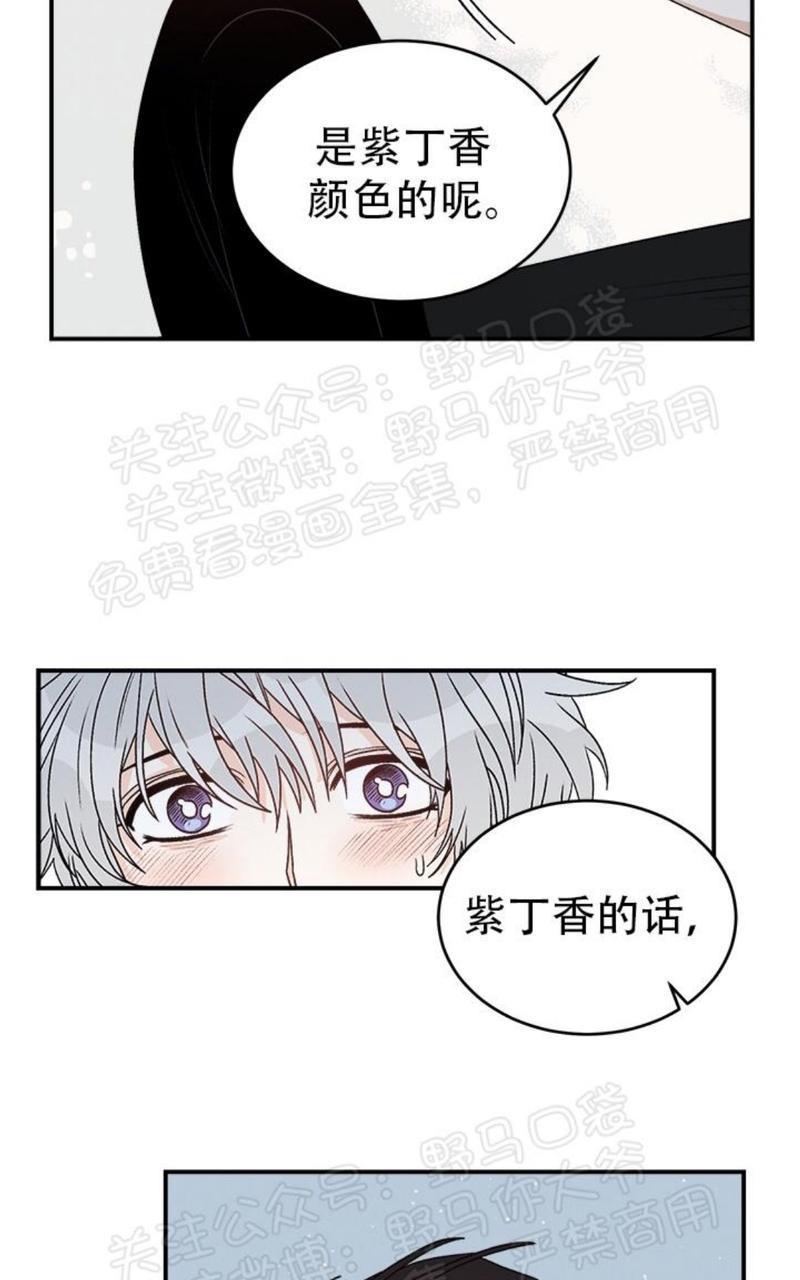 逐龙/追龙[耽美]韩漫全集-第17话无删减无遮挡章节图片 