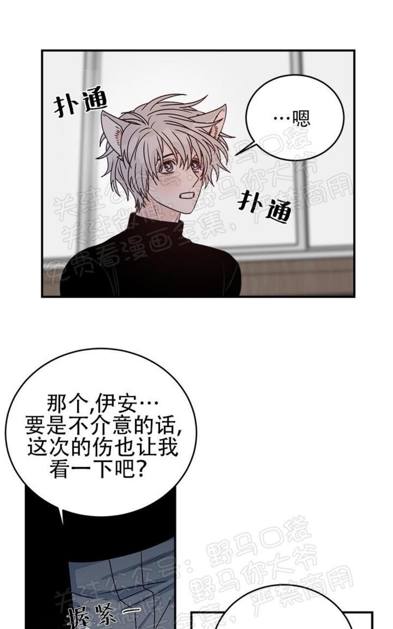 逐龙/追龙[耽美]韩漫全集-第17话无删减无遮挡章节图片 