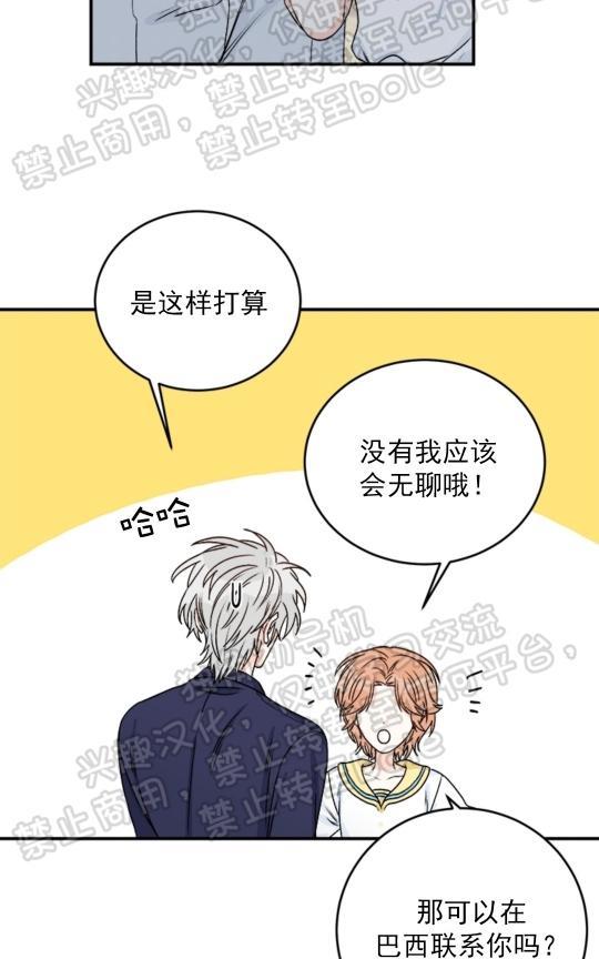 逐龙/追龙[耽美]韩漫全集-第19话无删减无遮挡章节图片 