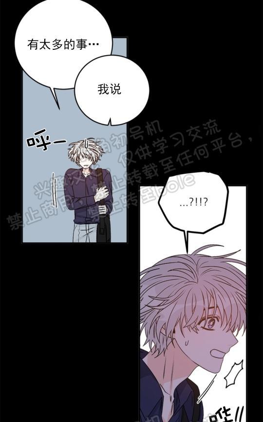 逐龙/追龙[耽美]韩漫全集-第19话无删减无遮挡章节图片 