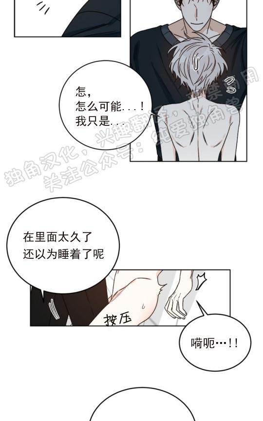 逐龙/追龙[耽美]韩漫全集-第20话无删减无遮挡章节图片 