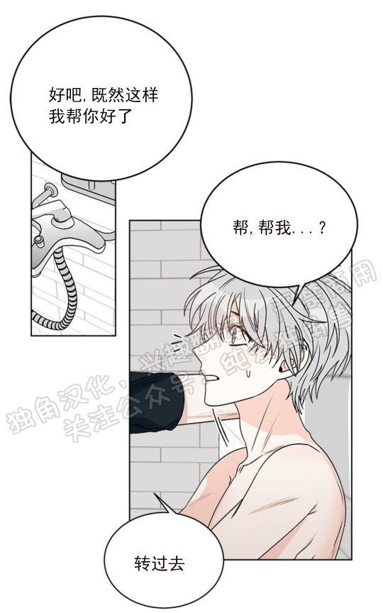 逐龙/追龙[耽美]韩漫全集-第20话无删减无遮挡章节图片 