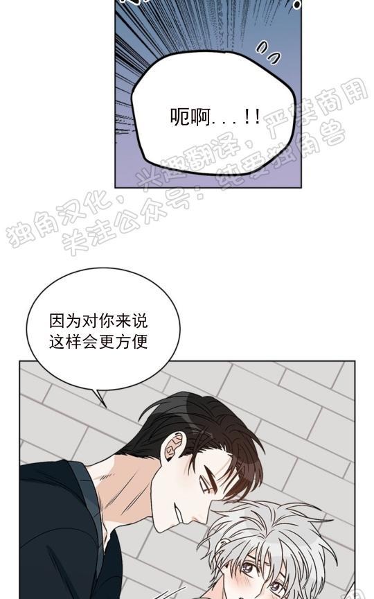逐龙/追龙[耽美]韩漫全集-第20话无删减无遮挡章节图片 