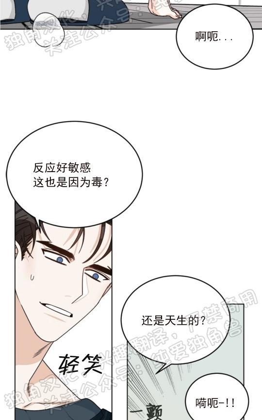 逐龙/追龙[耽美]韩漫全集-第20话无删减无遮挡章节图片 