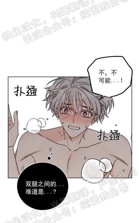 逐龙/追龙[耽美]韩漫全集-第20话无删减无遮挡章节图片 