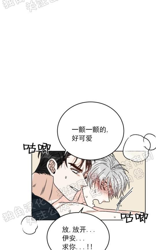 逐龙/追龙[耽美]韩漫全集-第20话无删减无遮挡章节图片 