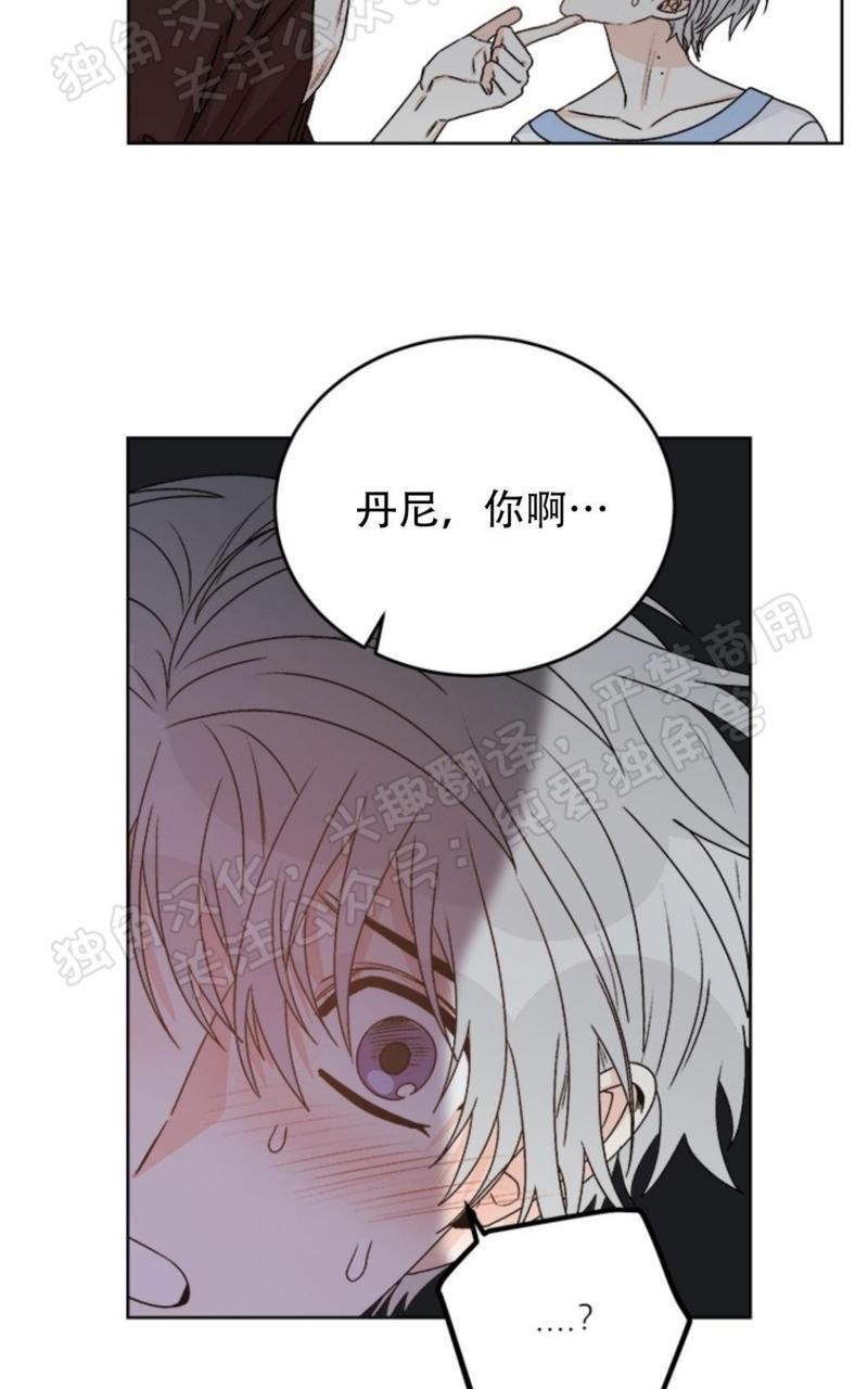 逐龙/追龙[耽美]韩漫全集-第21话无删减无遮挡章节图片 
