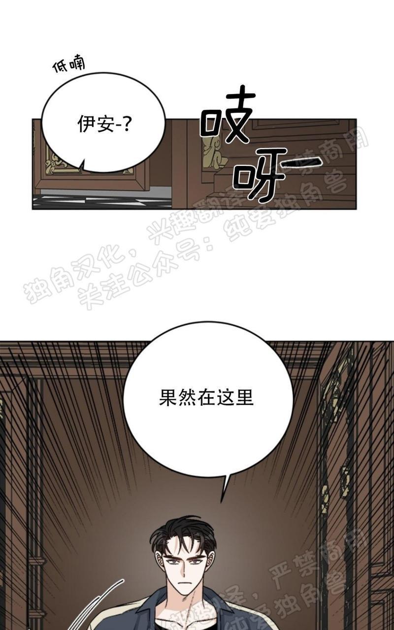 逐龙/追龙[耽美]韩漫全集-第21话无删减无遮挡章节图片 