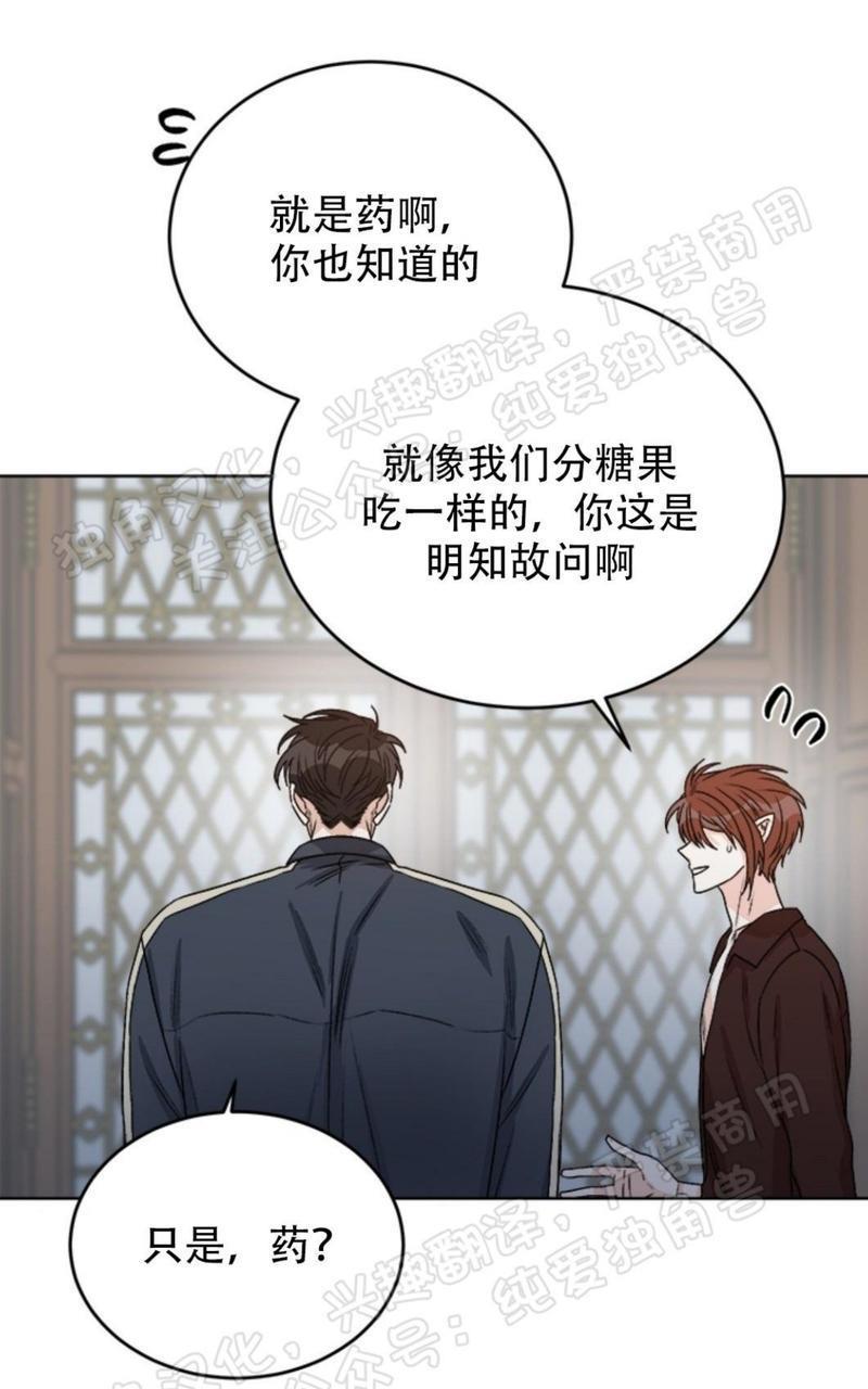 逐龙/追龙[耽美]韩漫全集-第21话无删减无遮挡章节图片 
