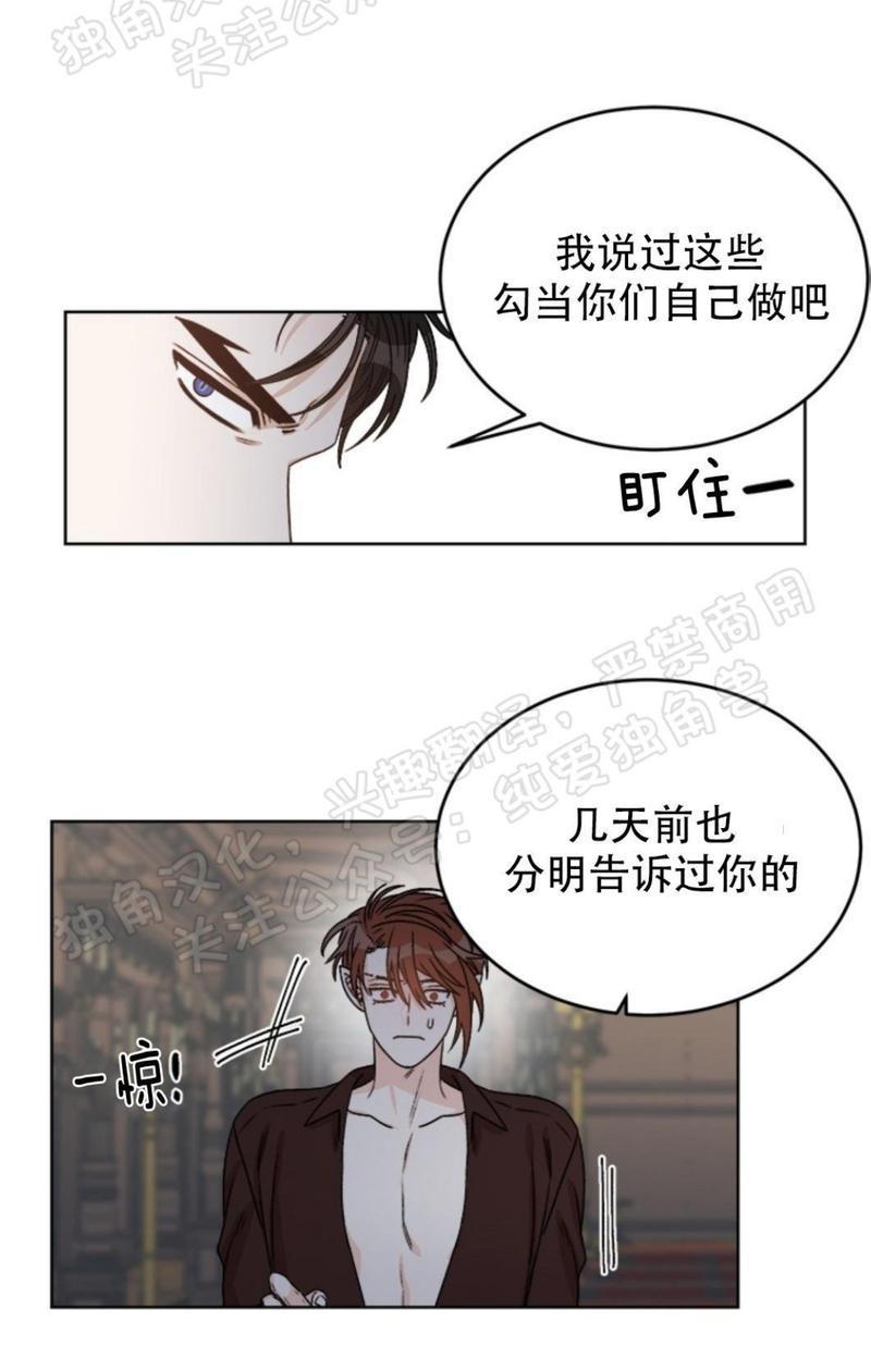 逐龙/追龙[耽美]韩漫全集-第21话无删减无遮挡章节图片 