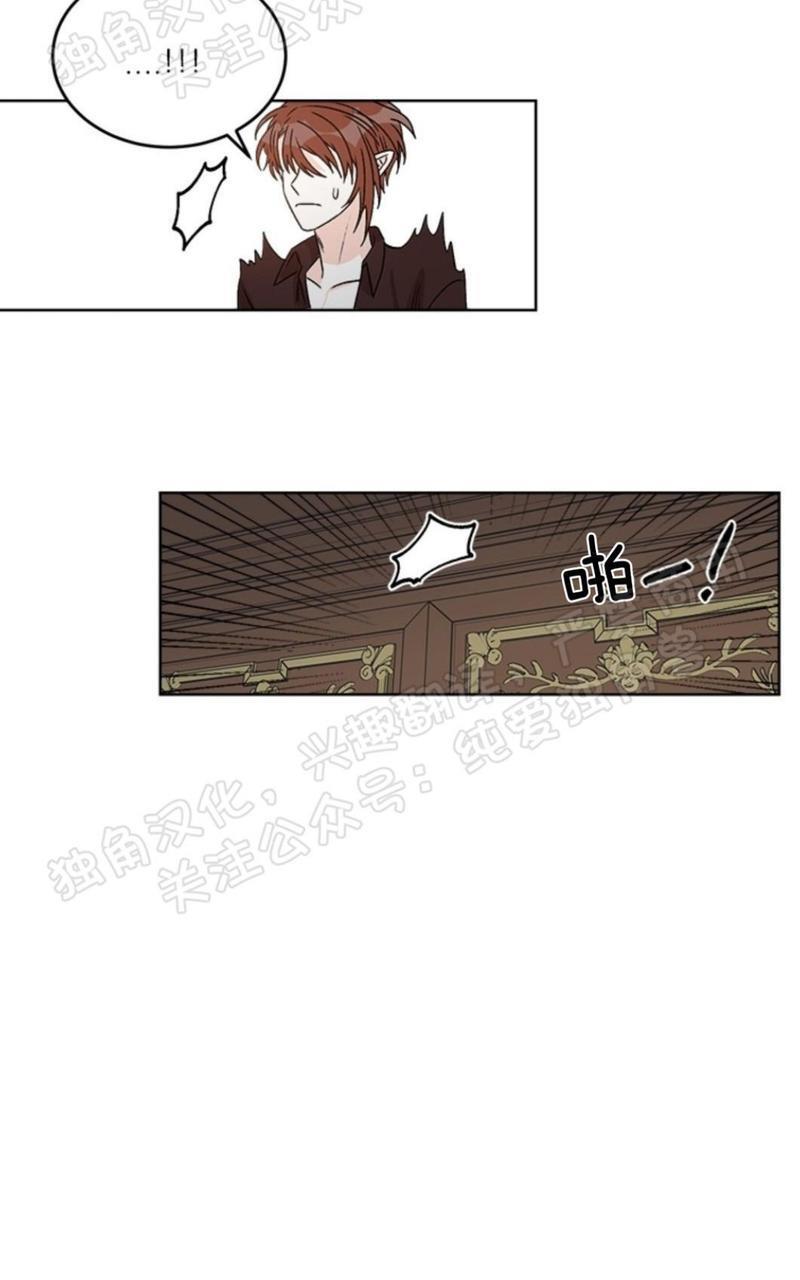 逐龙/追龙[耽美]韩漫全集-第21话无删减无遮挡章节图片 