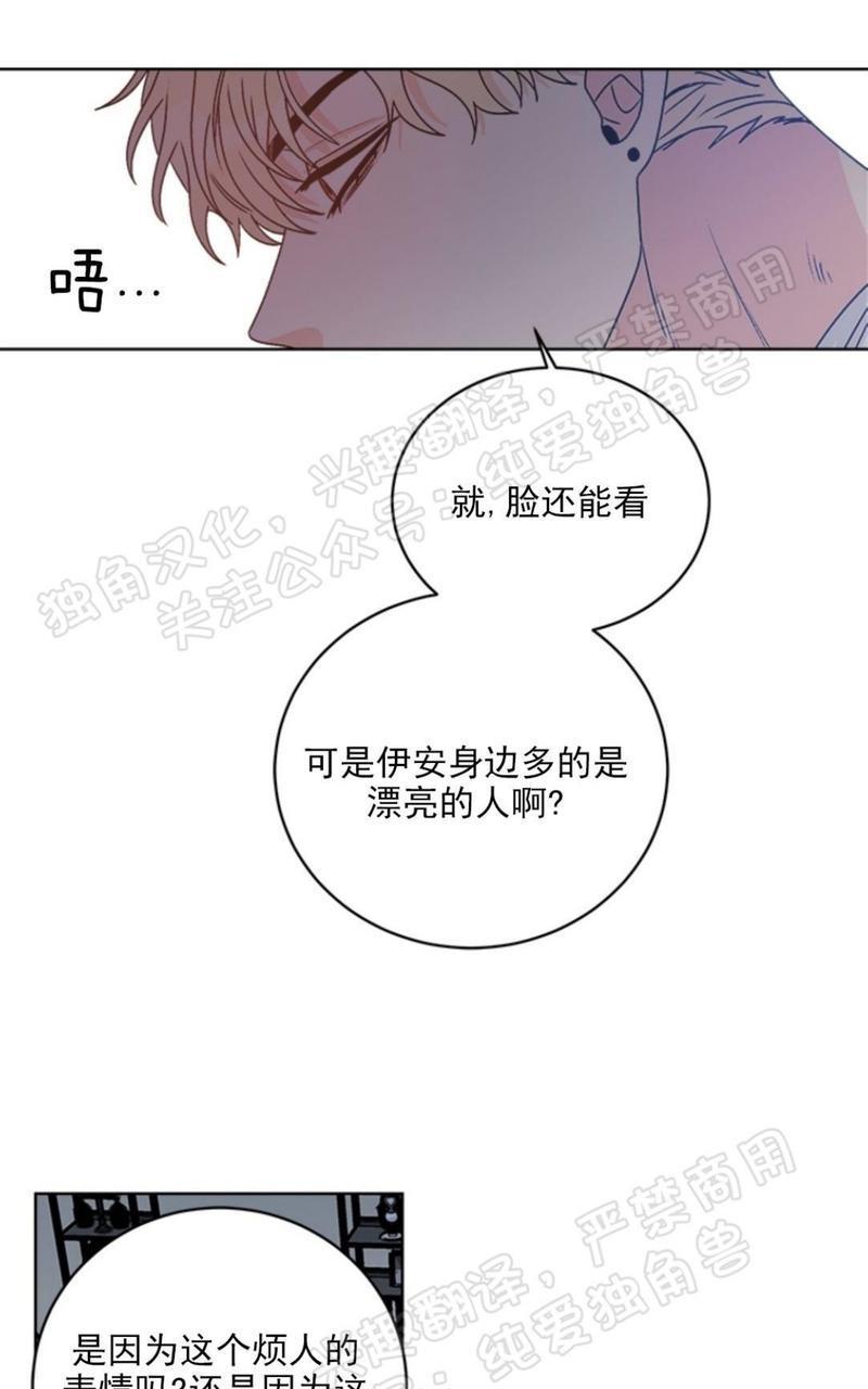 逐龙/追龙[耽美]韩漫全集-第22话无删减无遮挡章节图片 