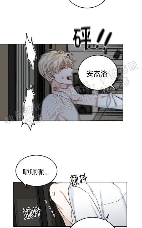 逐龙/追龙[耽美]韩漫全集-第24话无删减无遮挡章节图片 