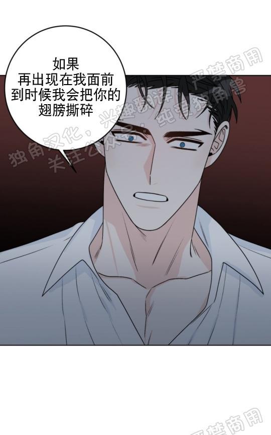 逐龙/追龙[耽美]韩漫全集-第24话无删减无遮挡章节图片 