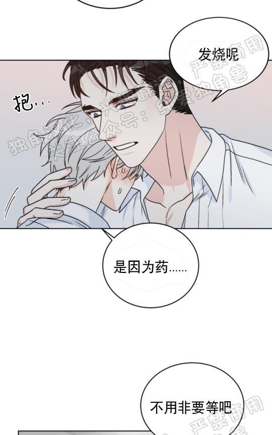 逐龙/追龙[耽美]韩漫全集-第24话无删减无遮挡章节图片 