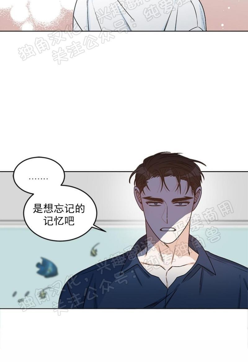 逐龙/追龙[耽美]韩漫全集-第25话无删减无遮挡章节图片 