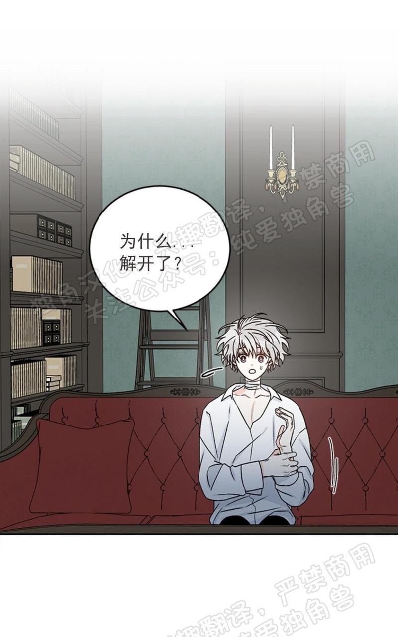 逐龙/追龙[耽美]韩漫全集-第25话无删减无遮挡章节图片 