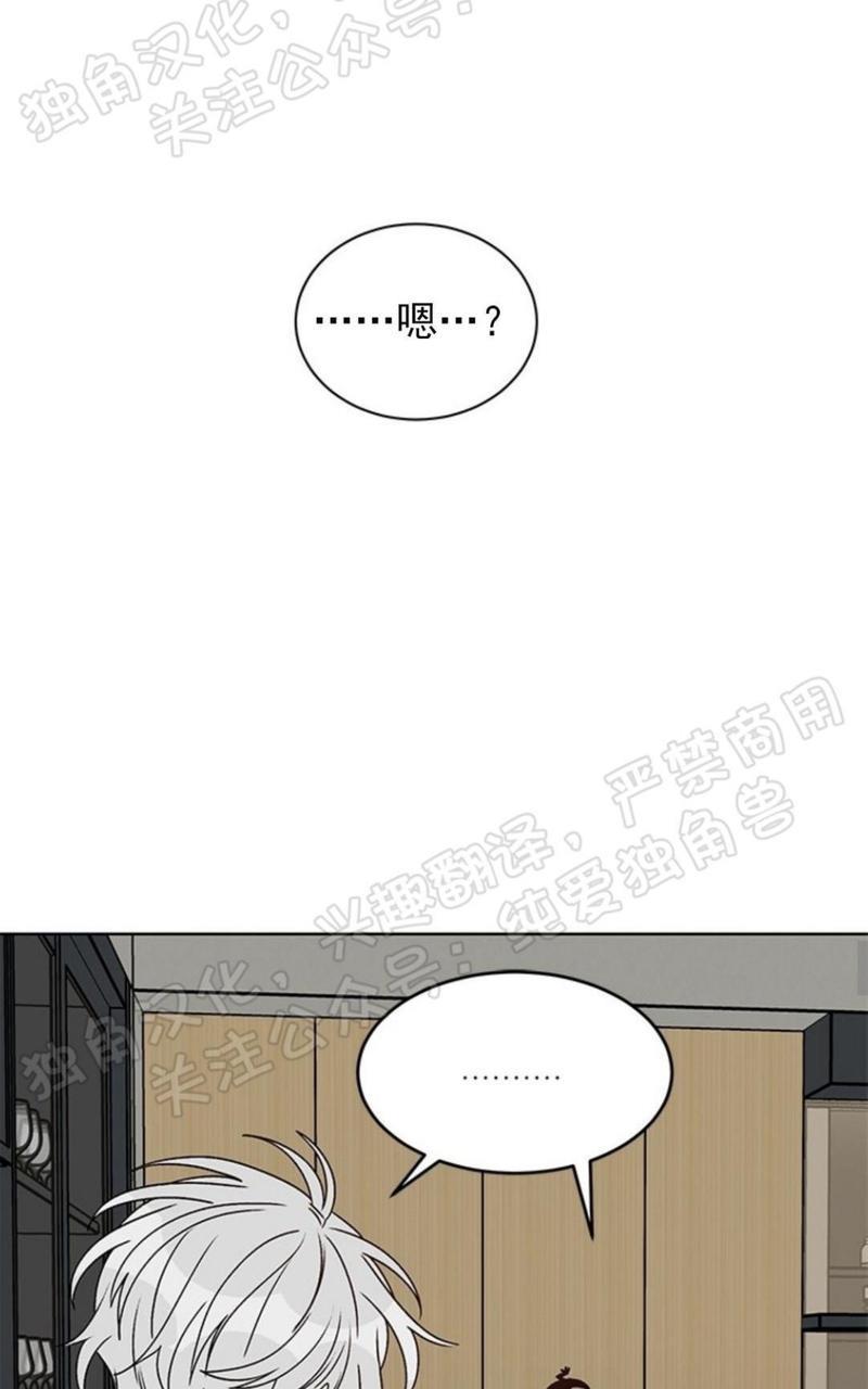 逐龙/追龙[耽美]韩漫全集-第27话无删减无遮挡章节图片 