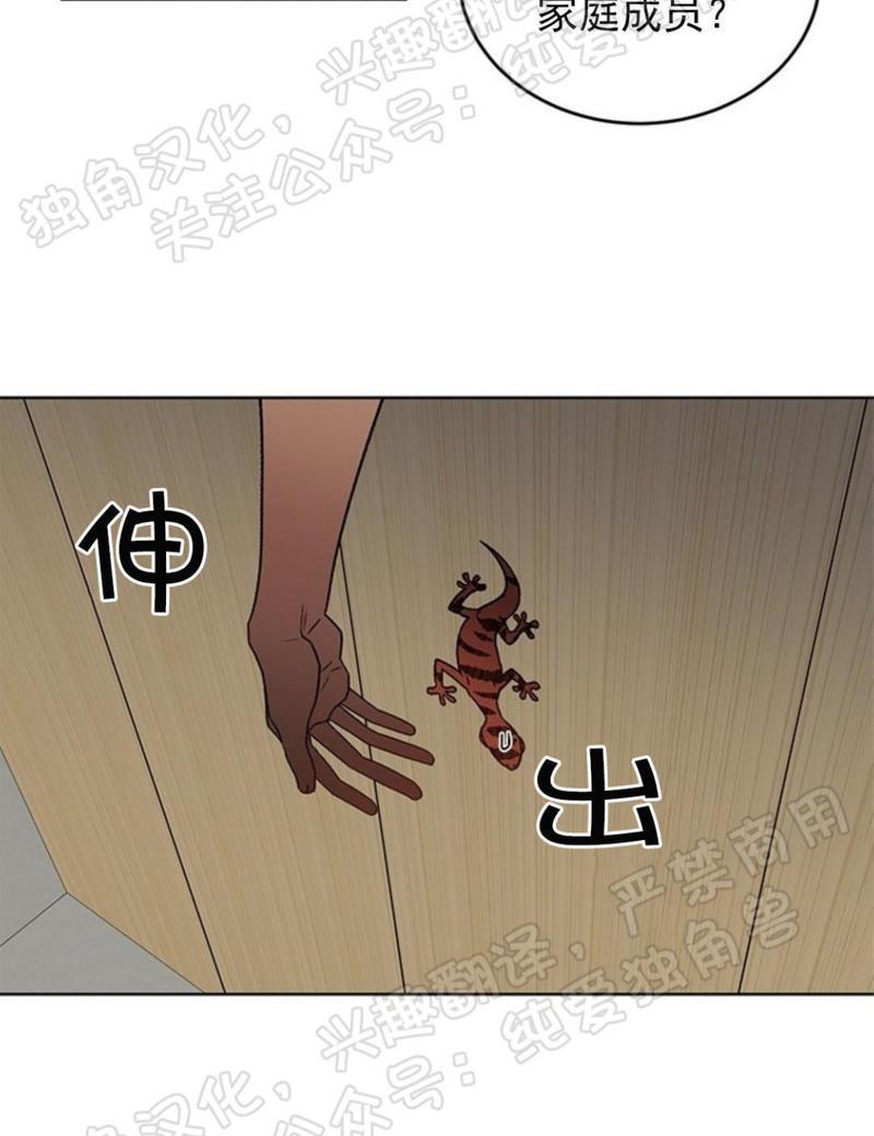 逐龙/追龙[耽美]韩漫全集-第27话无删减无遮挡章节图片 