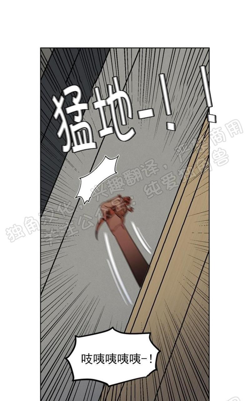 逐龙/追龙[耽美]韩漫全集-第27话无删减无遮挡章节图片 