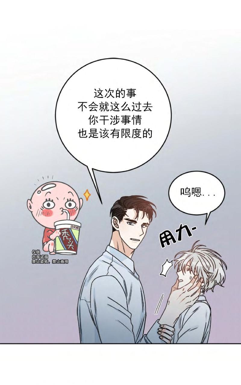 逐龙/追龙[耽美]韩漫全集-第29话无删减无遮挡章节图片 