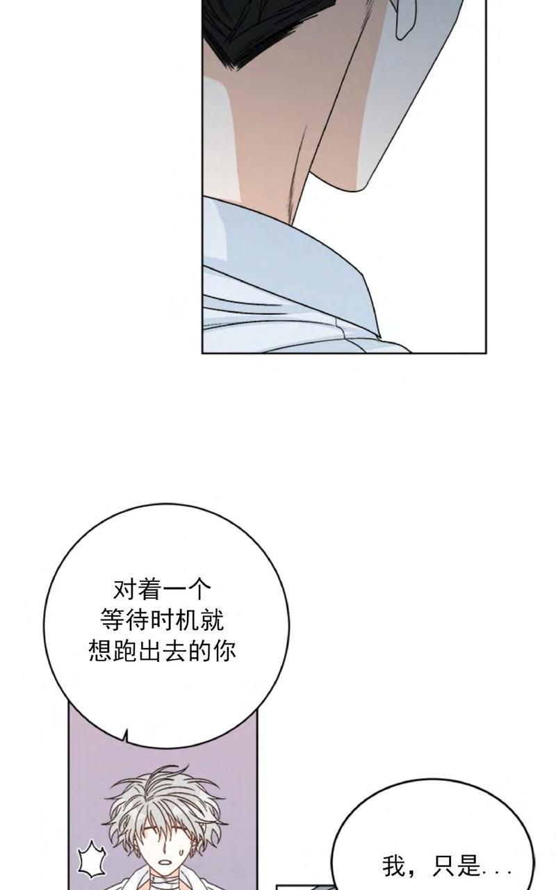 逐龙/追龙[耽美]韩漫全集-第29话无删减无遮挡章节图片 