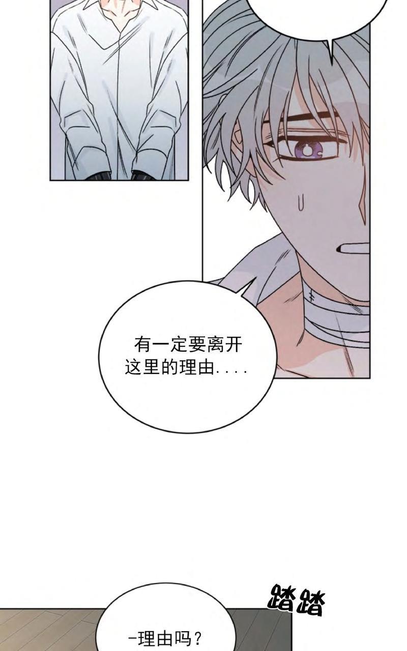 逐龙/追龙[耽美]韩漫全集-第29话无删减无遮挡章节图片 