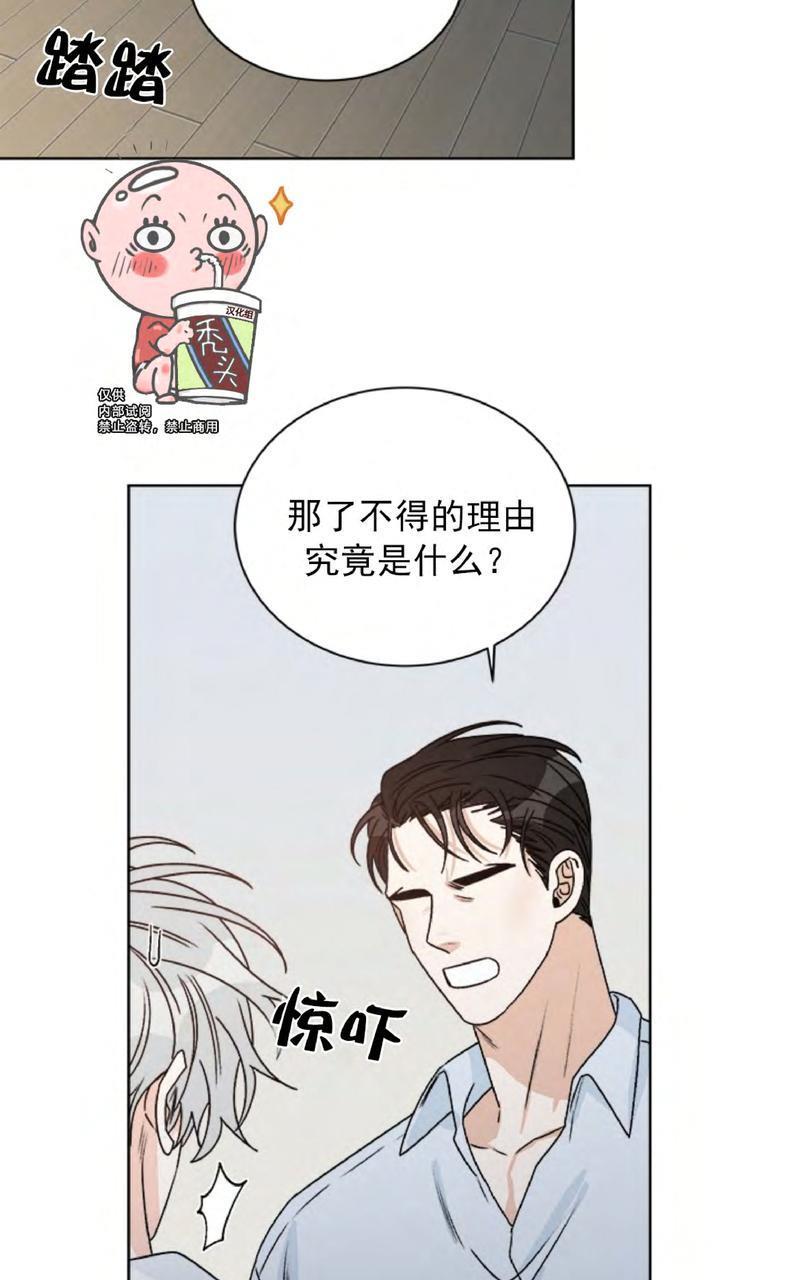 逐龙/追龙[耽美]韩漫全集-第29话无删减无遮挡章节图片 