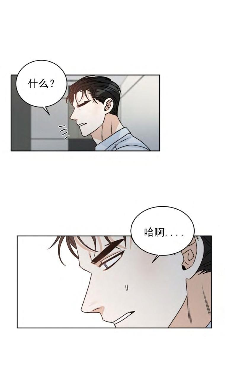 逐龙/追龙[耽美]韩漫全集-第29话无删减无遮挡章节图片 