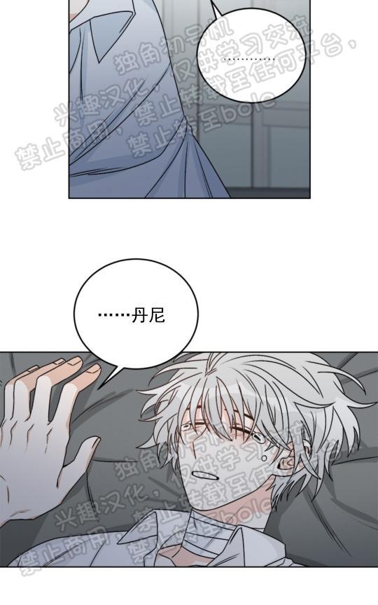 逐龙/追龙[耽美]韩漫全集-第30话无删减无遮挡章节图片 