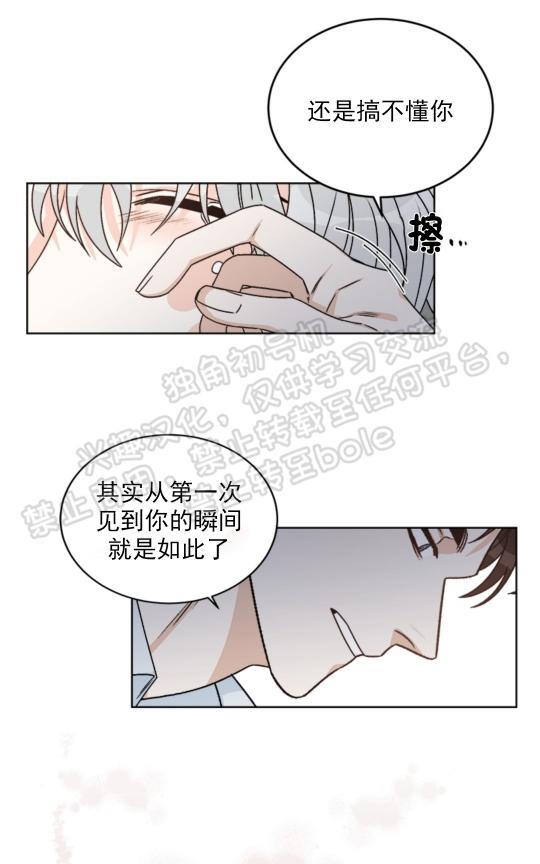 逐龙/追龙[耽美]韩漫全集-第30话无删减无遮挡章节图片 
