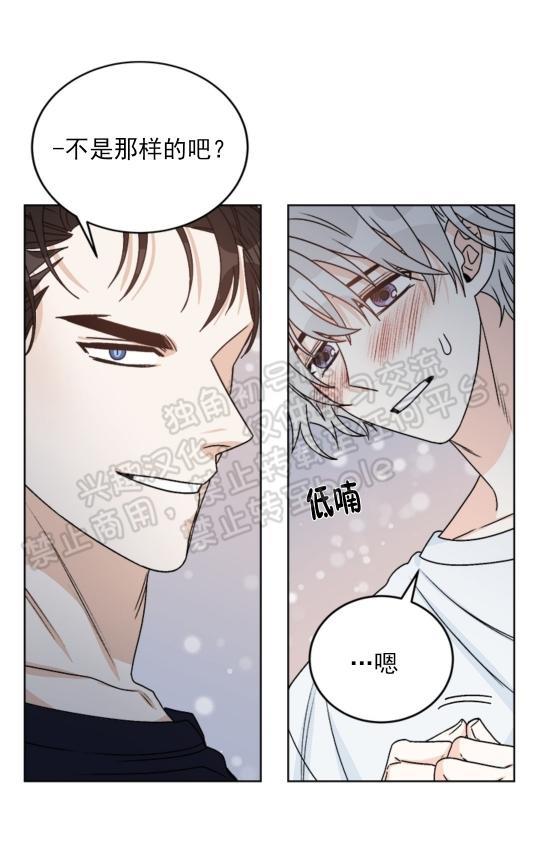 逐龙/追龙[耽美]韩漫全集-第30话无删减无遮挡章节图片 