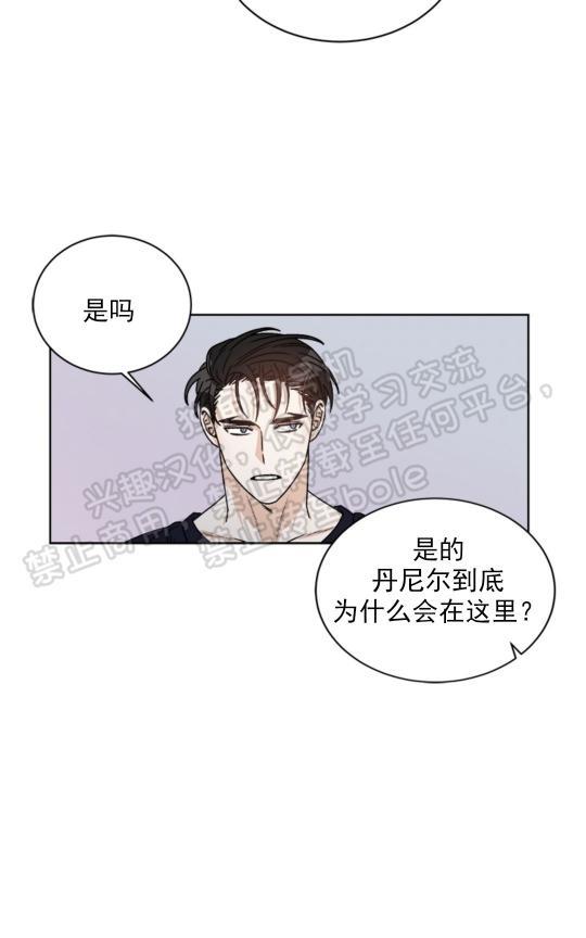 逐龙/追龙[耽美]韩漫全集-第30话无删减无遮挡章节图片 