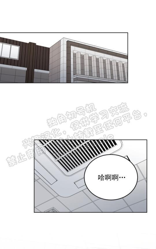 逐龙/追龙[耽美]韩漫全集-第30话无删减无遮挡章节图片 