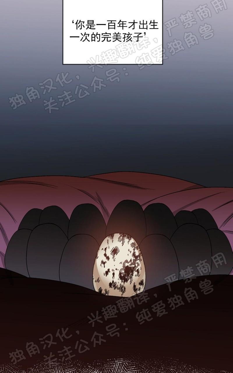 逐龙/追龙[耽美]韩漫全集-第31话无删减无遮挡章节图片 
