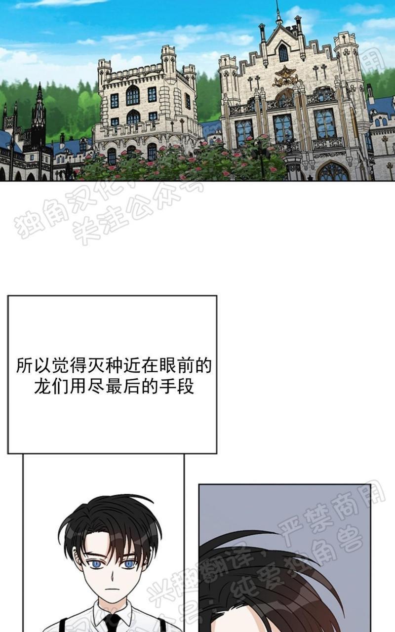 逐龙/追龙[耽美]韩漫全集-第31话无删减无遮挡章节图片 