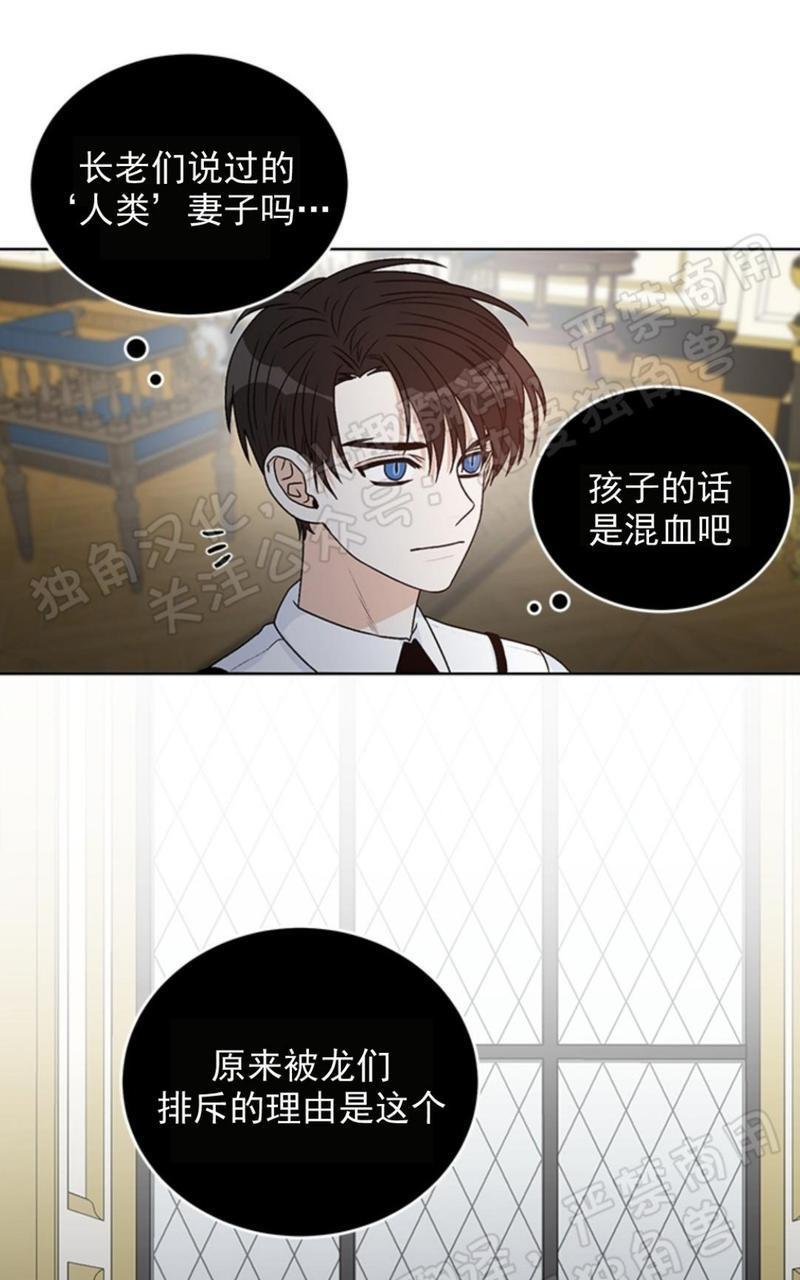 逐龙/追龙[耽美]韩漫全集-第31话无删减无遮挡章节图片 
