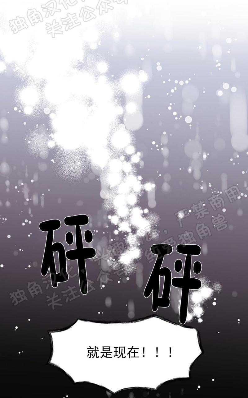 逐龙/追龙[耽美]韩漫全集-第31话无删减无遮挡章节图片 