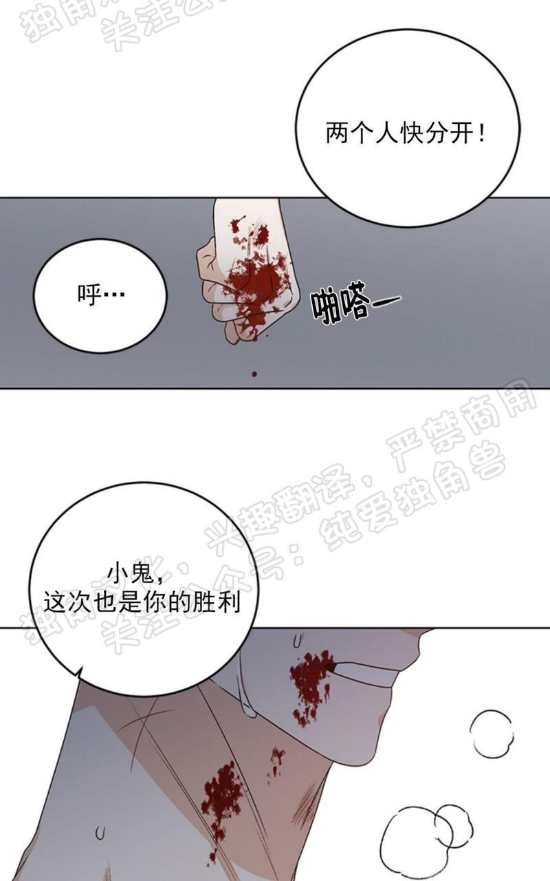 逐龙/追龙[耽美]韩漫全集-第31话无删减无遮挡章节图片 